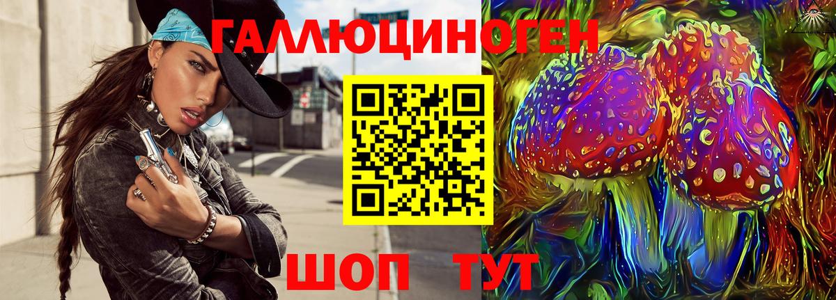 Новочебоксарск  Псилоцибиновые грибы Psilocybine cubensis  Вход с VPN 