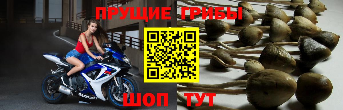 Псилоцибиновые грибы мухоморы Новочебоксарск